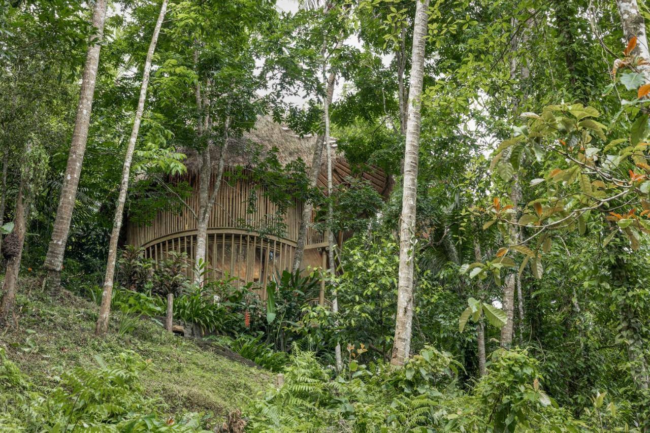 Amarta Pesagi Retreat by Madhava Villa Tabanan  Bagian luar foto
